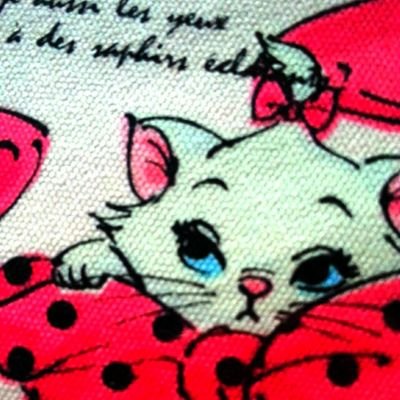 東京ヤクルトスワローズ、東京スカパラ、ねこ、文房具、本。