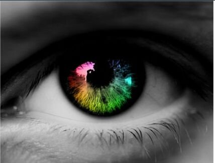 ncl07_nk's profile picture. Reality sucks at times, so keep on dreaming. Art, music & nature. #noh8