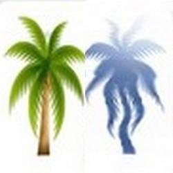 Suivi exclusivement garanti aux Francophones ( FollowMe⇆FollowBack guaranteed exclusively for French only )