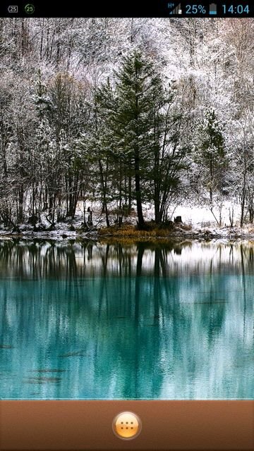 dansci082's profile picture. 