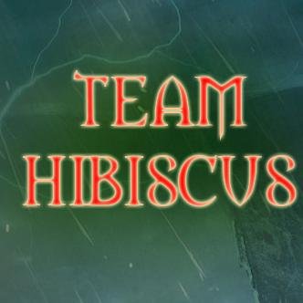 TeamHibiscus