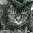 otorami's profile image