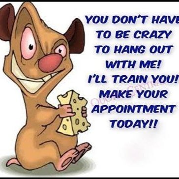 pb02101972's profile picture. 