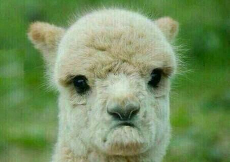 thenewagee's profile picture. Bienvenido a la nueva era.