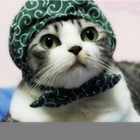 伊藤圭吾＠気管切開でも食事がしたい (@ito_1024) 's Twitter Profile