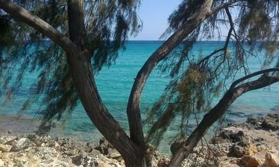 annettbrandenb1's profile picture. 