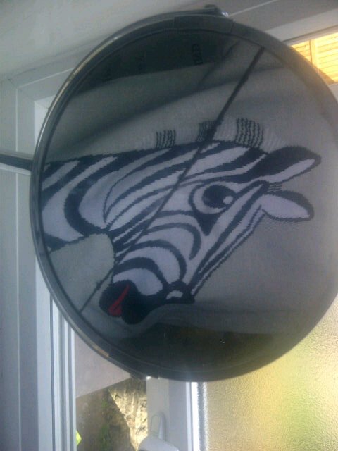 Booth17Amy's profile picture. I love popcorn and scary movies all the time Iam the kind of person who can sit down and talk to I love to sing and dance and to do impressions