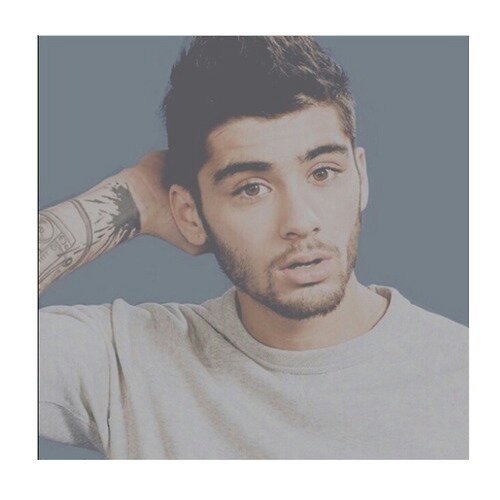 chestwingszjm's profile picture. ask for a follow back on @sillyboyzayn