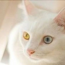 yui_take_0603's profile picture. ▒▒▓█▇▅▂∩( ✧Д✧)∩▂▅▇█▓▒▒ テスト終わった┣¨┣¨┣¨┣¨┣¨┣¨┣¨┣¨┣¨┣¨┣¨┣¨┣¨┣¨