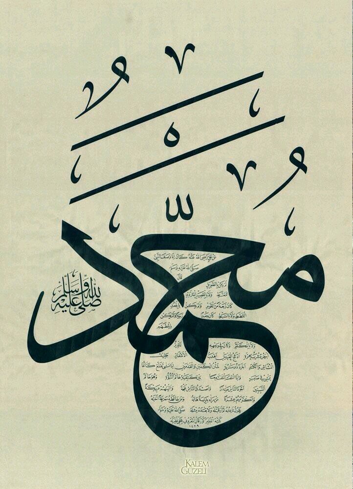 3D88PLW6