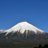 y_hitachi's profile image