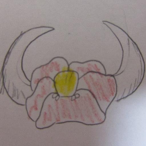 ラタトスク(樹鼠)さんのプロフィール画像