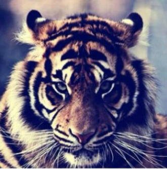 مہمَا تمنيت .. مَ تاخذ غير نصِيبڱ ♡ Follow ♡!*; αι3αiи♡