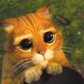 Intrigante911's profile picture. 