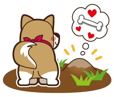 nmasakazu547's profile picture. 