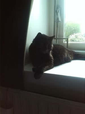 marlenamopje's profile picture. Just Thinking...