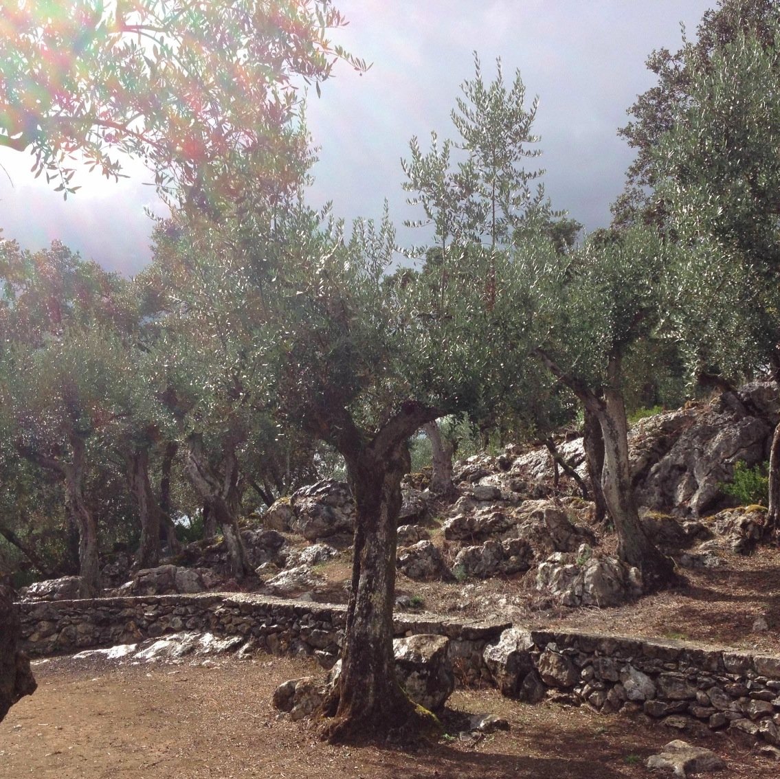 Bringing a sense of the sacred to everyday living. Encounters with megaliths, mythology, and the poetry of place on the westernmost edge of continental Europe.