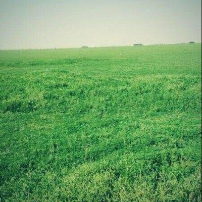 acary138989's profile picture. صاحب موسسة قمة بلاحدود للسيارات الرياض. المعارض