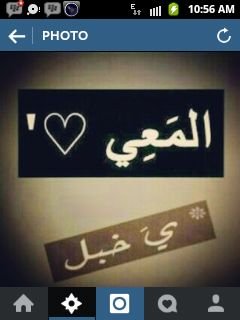 الشحبى..