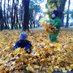 HelsinkiMom (@helsinkimom) Twitter profile photo