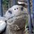 a_leavinghope's profile image