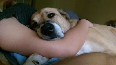 KennyBledsoe's profile picture. JRE, Skeptic Tank, EBR, Dudley and Bob, all day