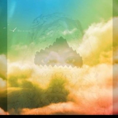 kammycakes2004's profile picture. 