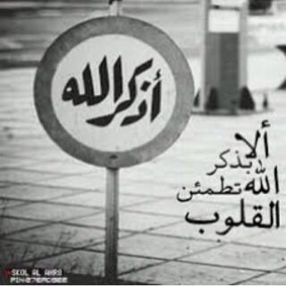 ass222212's profile picture. 