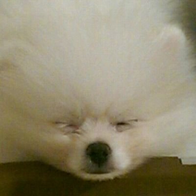 初めまして