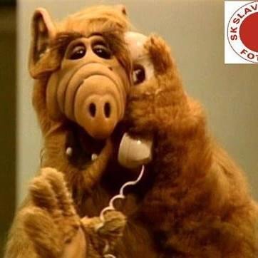 MarekHugo's profile picture. 