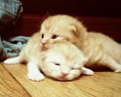 B_BerYl2's profile picture. 