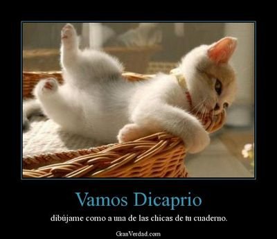 Cuida de tus frases pues las puedo robar. Doy RT a cualquier estupides que vea.