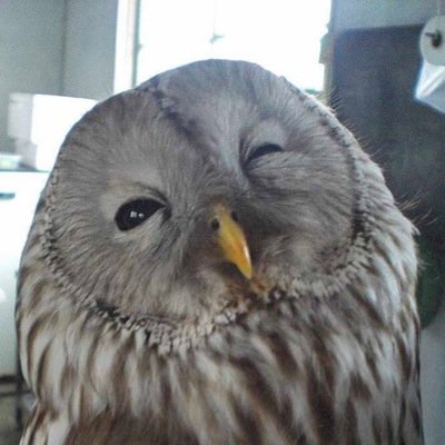 Public Sector Consultant / TOKYO, Public Quality Management Forum / 
新潟、岐阜、世田谷。公共経営（行政改革・経営改革）の研究者／コンサルタント。