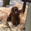 Damian Stein - @steindam73 - Twitter