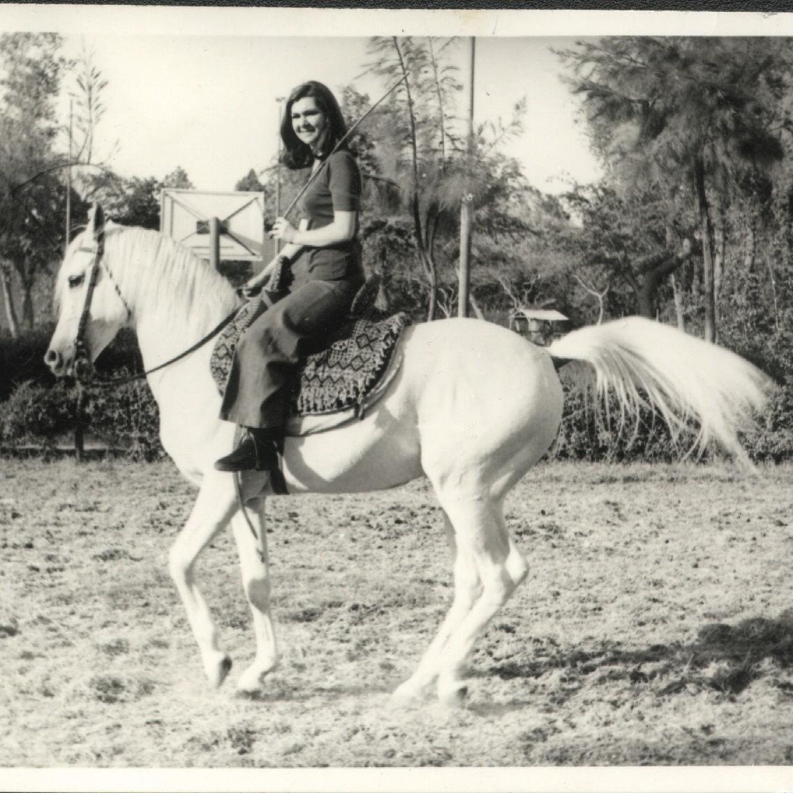 GulsunSherif's profile picture. #Arabian_horses