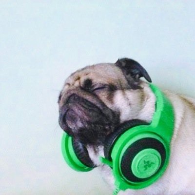 What's up?
