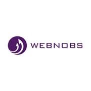 Webnobs is a Ghanaian-based professional web hosting, domain name registration and web development company.
