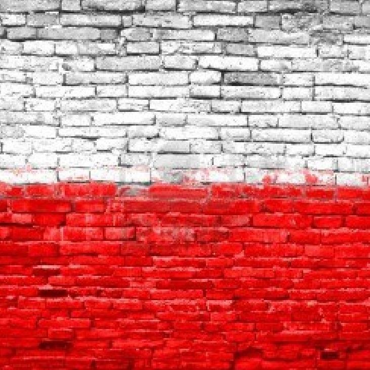 MateuszBorek8's profile picture. Konserwatysta zażenowany Polską polityką,zafascynowany muzyką Trance,House i muzyką klasyczną oraz filmową.