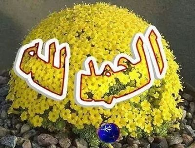 محضرة مختبر