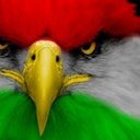 007Kurdistan (@007Kurdistan) Twitter