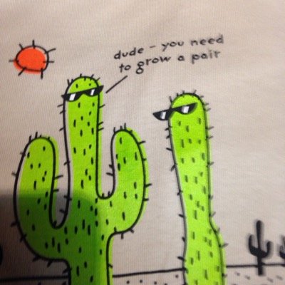 sageVerlander's profile picture. 