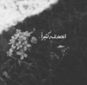 ​♡​ هلالیه​ ​♡                                                                                                          [ الخاص ممنوع ]​