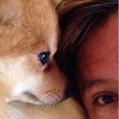 rescatista de 🐶🐈 mi🏠 un Refugio.tengo 84🐶y 50🐈 mi labor es independiente https://t.co/lRBr5eQTYK