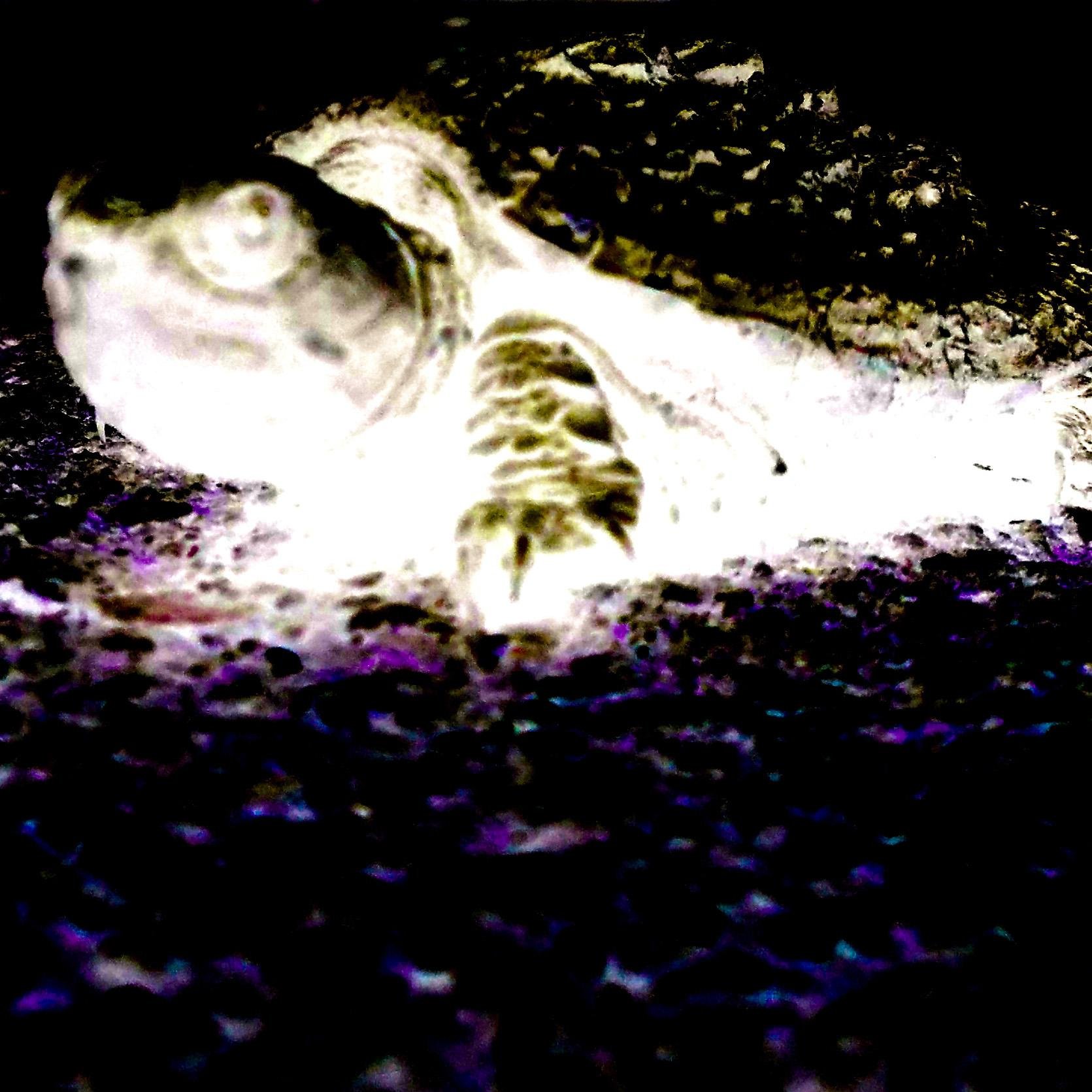 NewBeginningsBe's profile picture. 