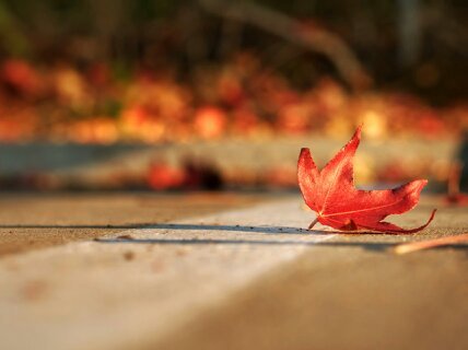 jackson1121usa's profile picture. 🟥 會所實體店營業執照齊全 🟨✈️  電報：https://t.co/i9Yzf8ByOU 搜索推🍛特大号 @mbb668 或者直接点蓝🐡色字体查🍭看详细幸福资料 🟩 不滿意不消費可掉頭就走 🟦，㊙️ 保護個人隱私安全私密圈服務 ㊙️，💯 所有消費都可開發票 🉑 靠 ‼️🈺 獨家特色 💢 技師全程聽你安排不反抗