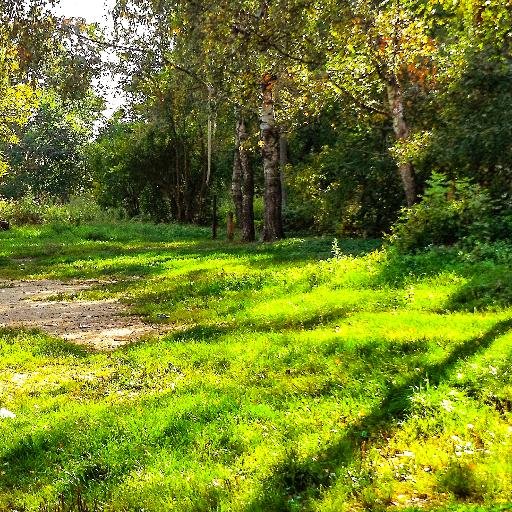 sunluch8's profile picture. Яркий сияющий солнечный луч #followback #взаимныйфолловинг #чепочкафолловеров