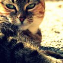 Sandra Meissner - @lem_leut - Twitter