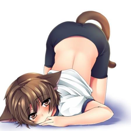 I'm James, a 16 years old Neko boy! I'm living with my owner @Yaoi_Adam. I have no master. #YaoiRP #Neko #SexRP #DMsOpen