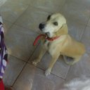 SoniaFerrão - @SoniaFerro10 - Twitter