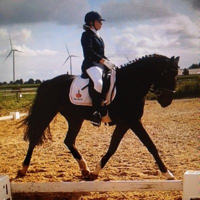 Account over Jomautom leuke weetjes & fotos! M dressage of the netherlands! 270614 ❤️ Jomautom gekocht ❤️